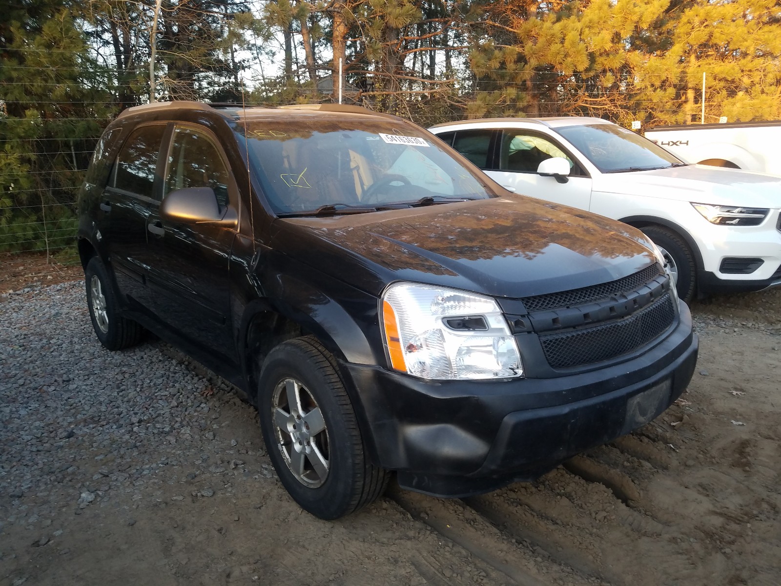 chevrolet equinox ls 2005 2cndl23f256024363