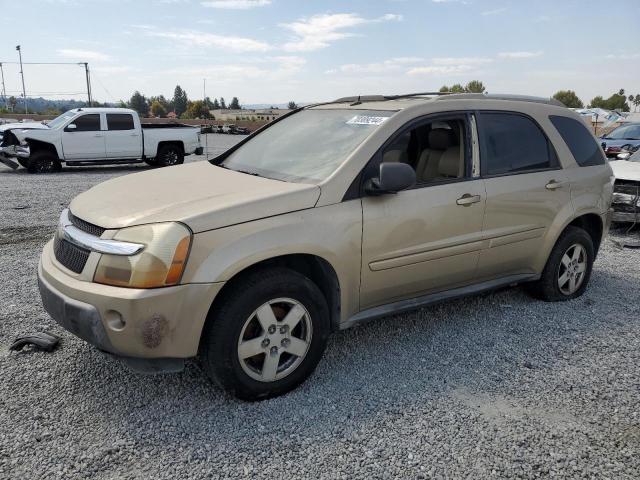 chevrolet equinox lt 2005 2cndl63f456086810