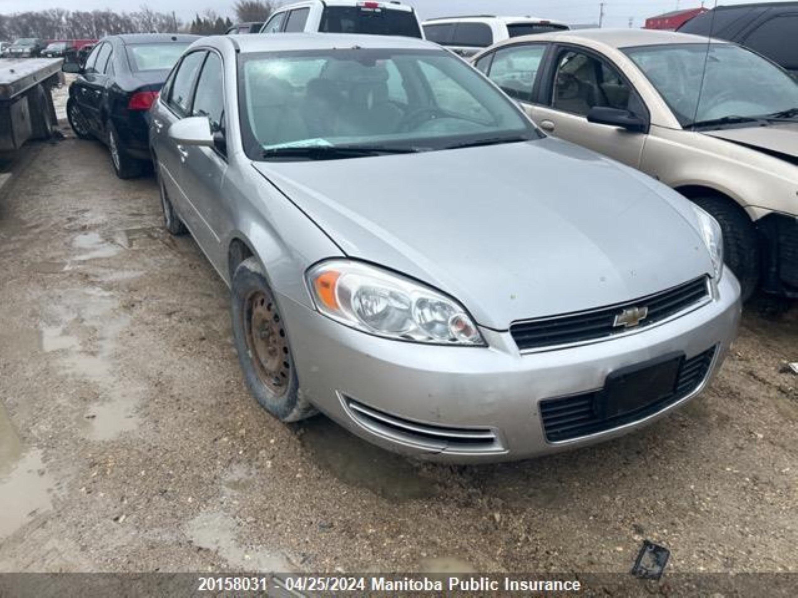 chevrolet  2007 2g1wb58n879332388