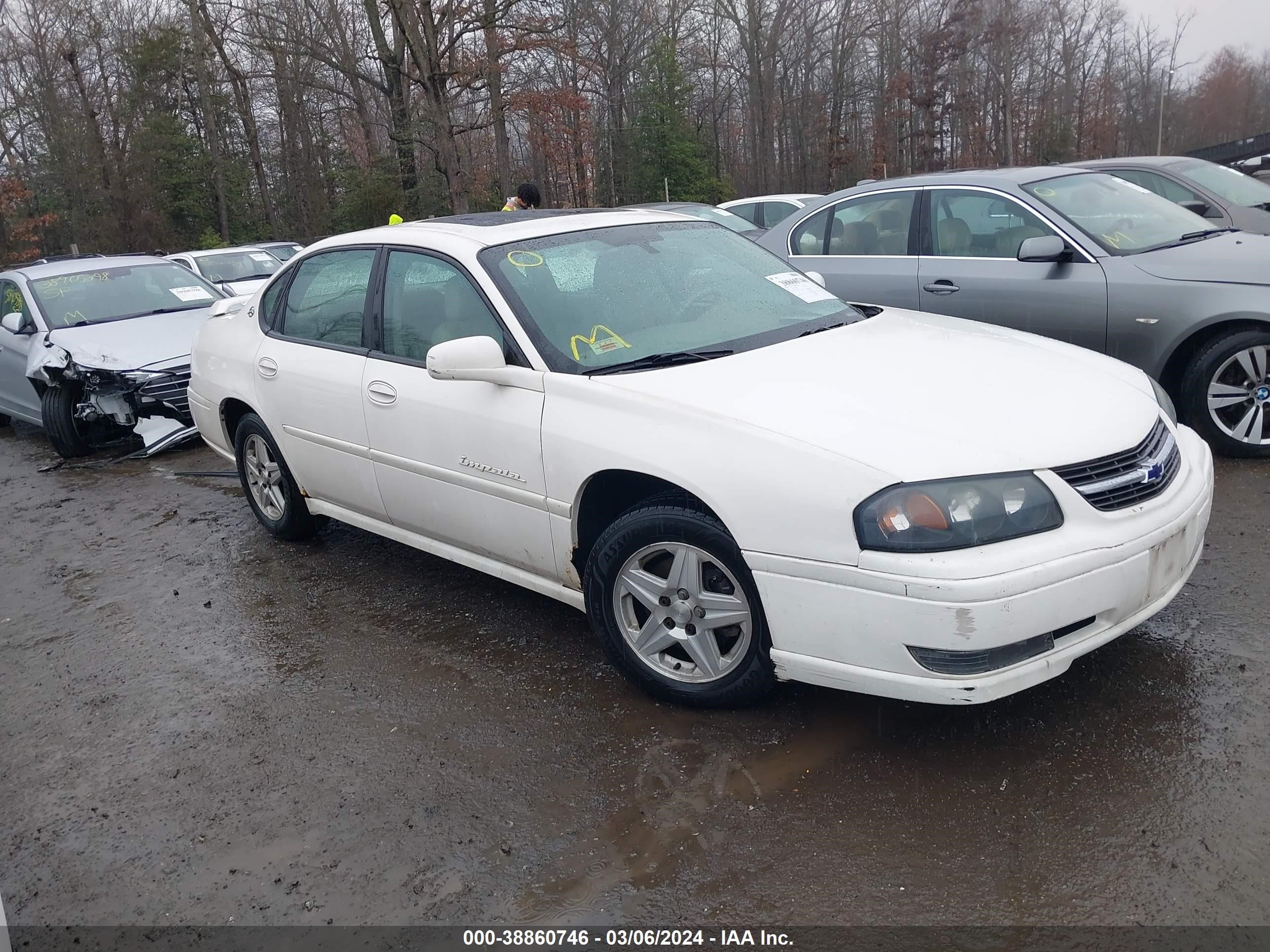 chevrolet impala 2004 2g1wh52k749175381