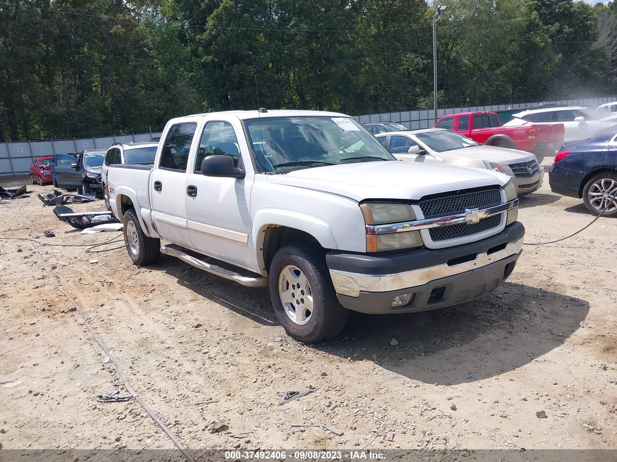 chevrolet silverado 2005 2gcek13t451365563