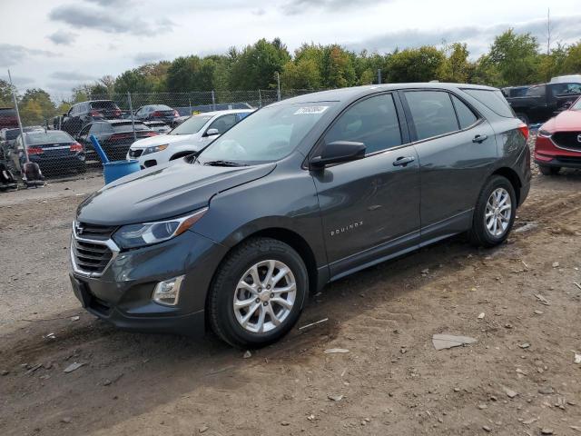 chevrolet equinox ls 2019 2gnaxhev3k6109086