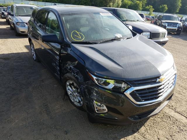 chevrolet equinox ls 2019 2gnaxhev3k6205994