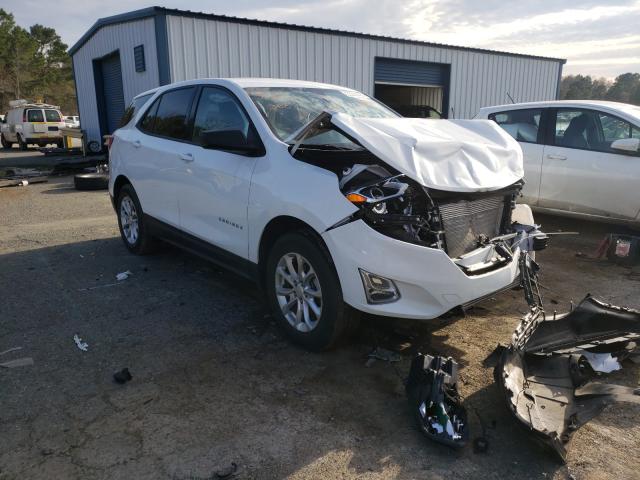 chevrolet equinox ls 2019 2gnaxhev4k6268053