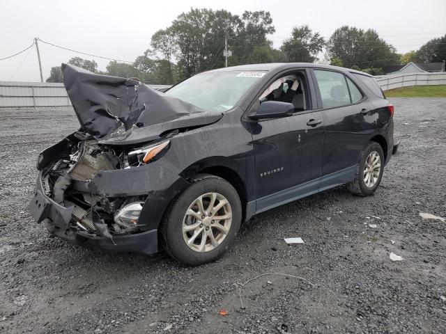 chevrolet equinox ls 2019 2gnaxhev9k6130590