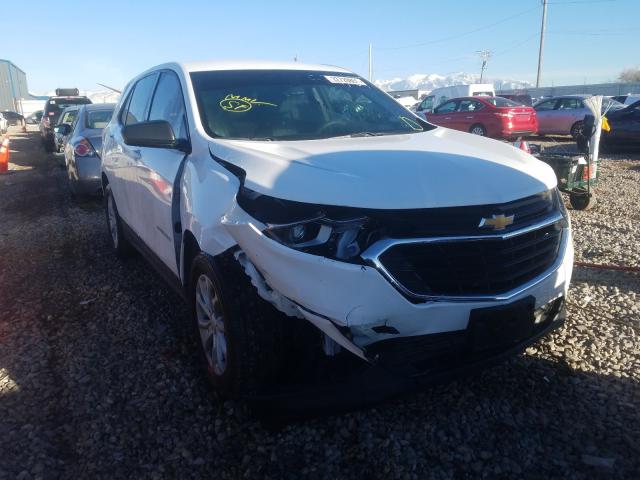 chevrolet equinox ls 2019 2gnaxsev0k6155052