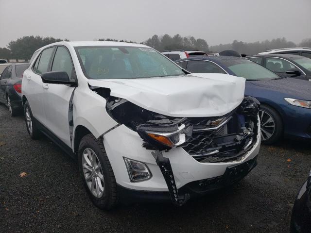 chevrolet equinox ls 2019 2gnaxsev2k6221083