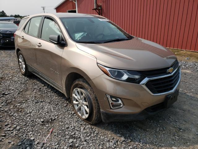 chevrolet equinox ls 2019 2gnaxsev5k6173529