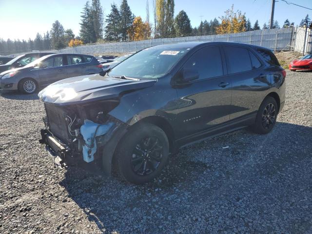 chevrolet equinox ls 2019 2gnaxsevxk6143426