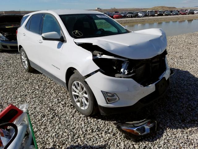 chevrolet equinox lt 2019 2gnaxuevxk6120157