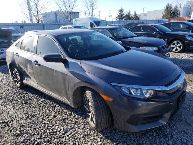 honda civic lx 2017 2hgfc2f57hh004734