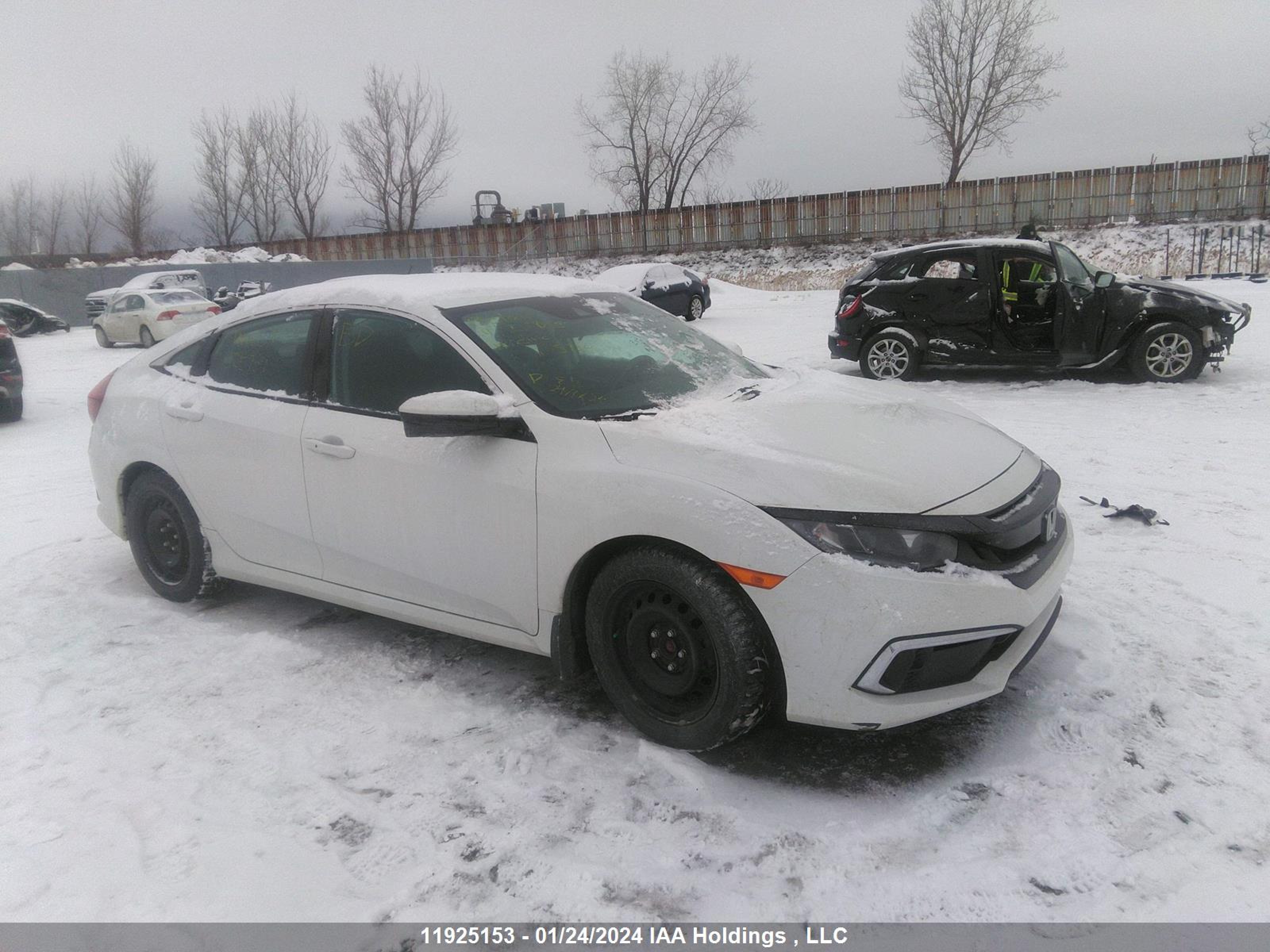 honda civic 2019 2hgfc2f71kh025734