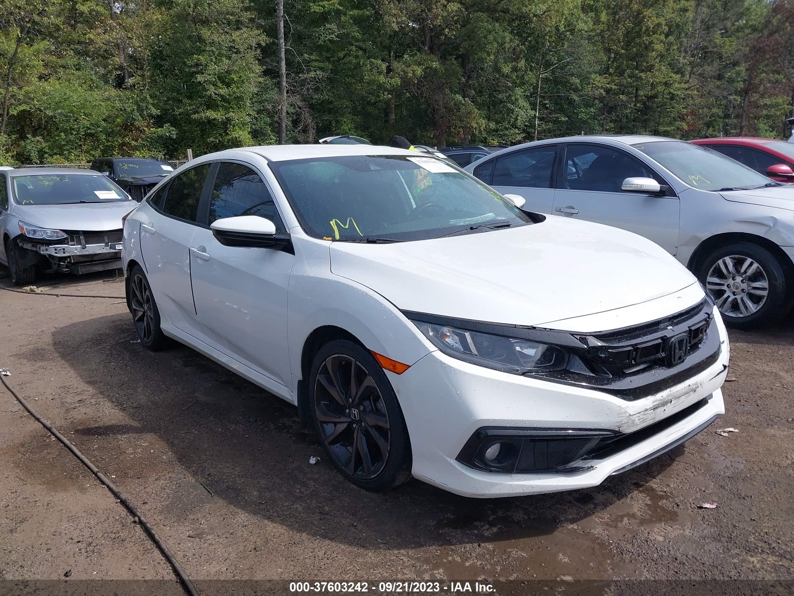 honda civic 2019 2hgfc2f82kh555607