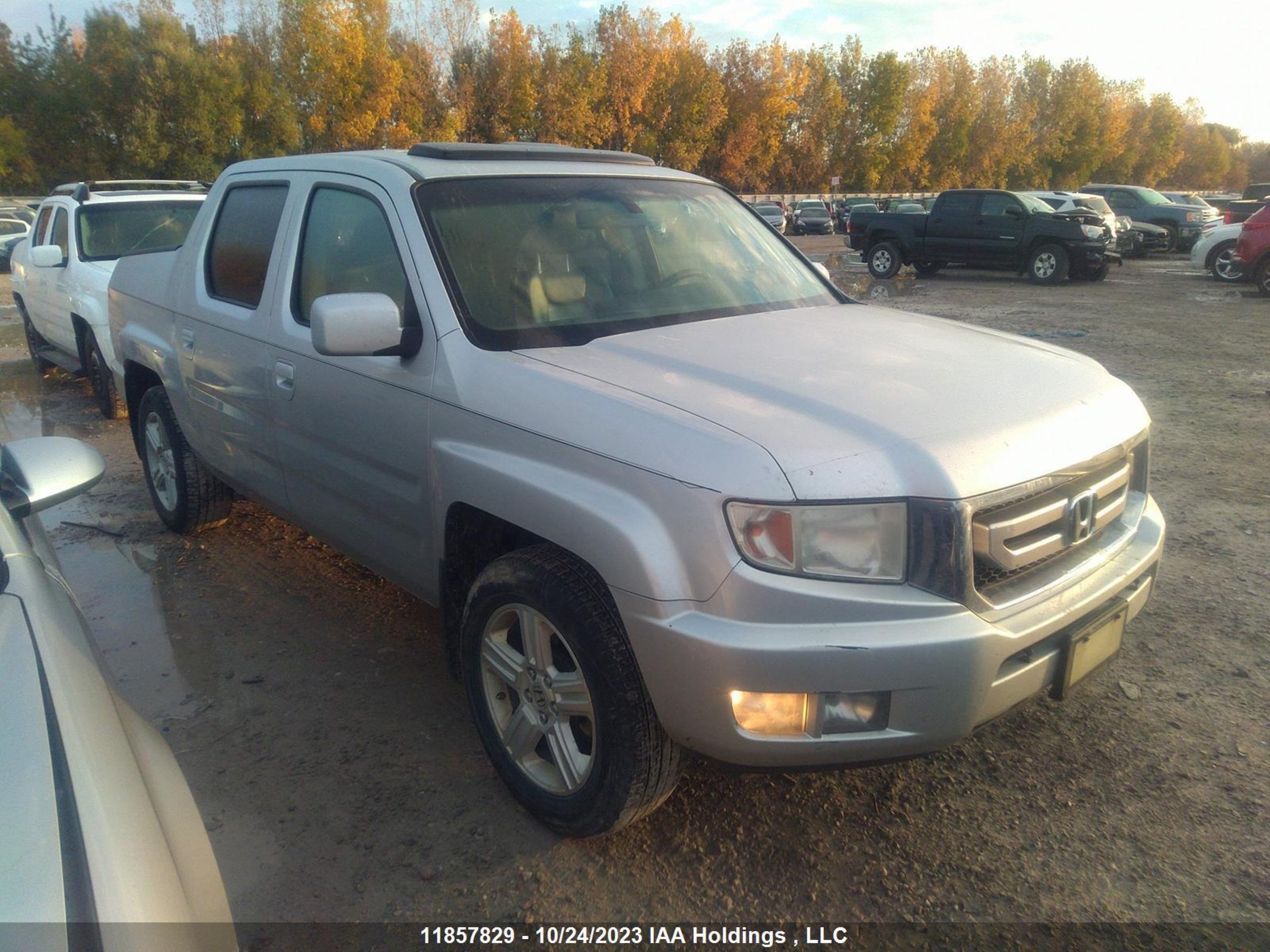 honda ridgeline 2009 2hjyk16509h000607