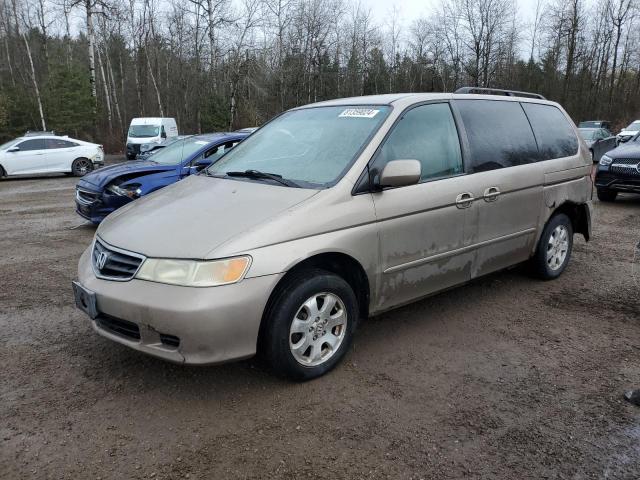 honda odyssey ex 2003 2hkrl18613h009861