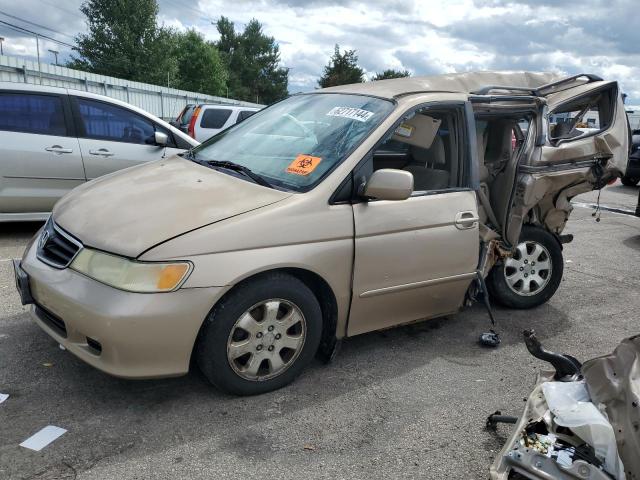 honda odyssey ex 2002 2hkrl18622h577955