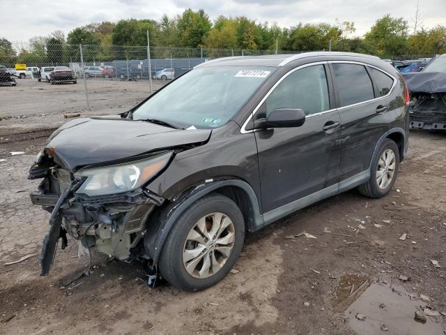 honda cr-v exl 2014 2hkrm4h78eh651312