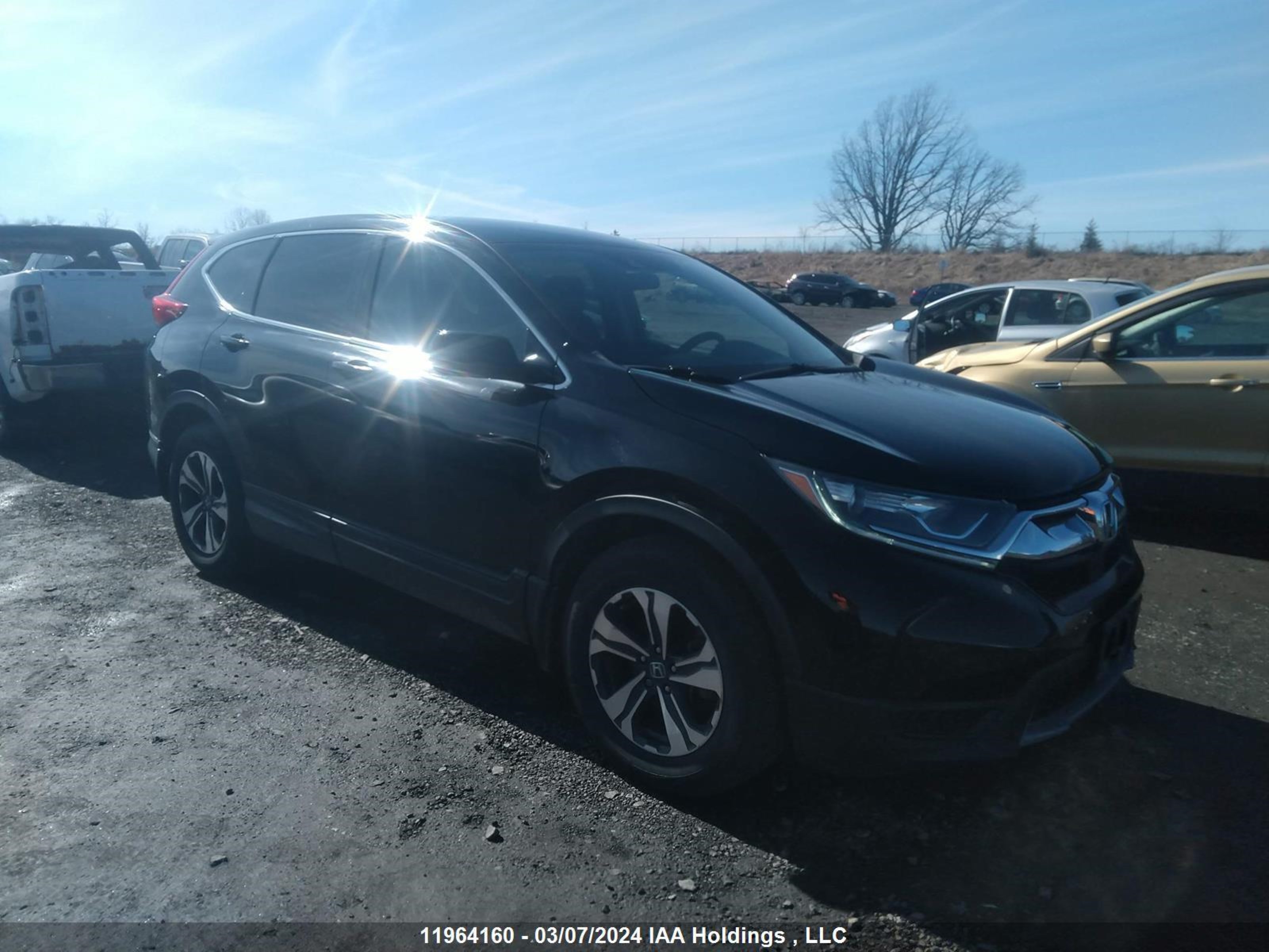 honda cr-v 2017 2hkrw2h26hh124814