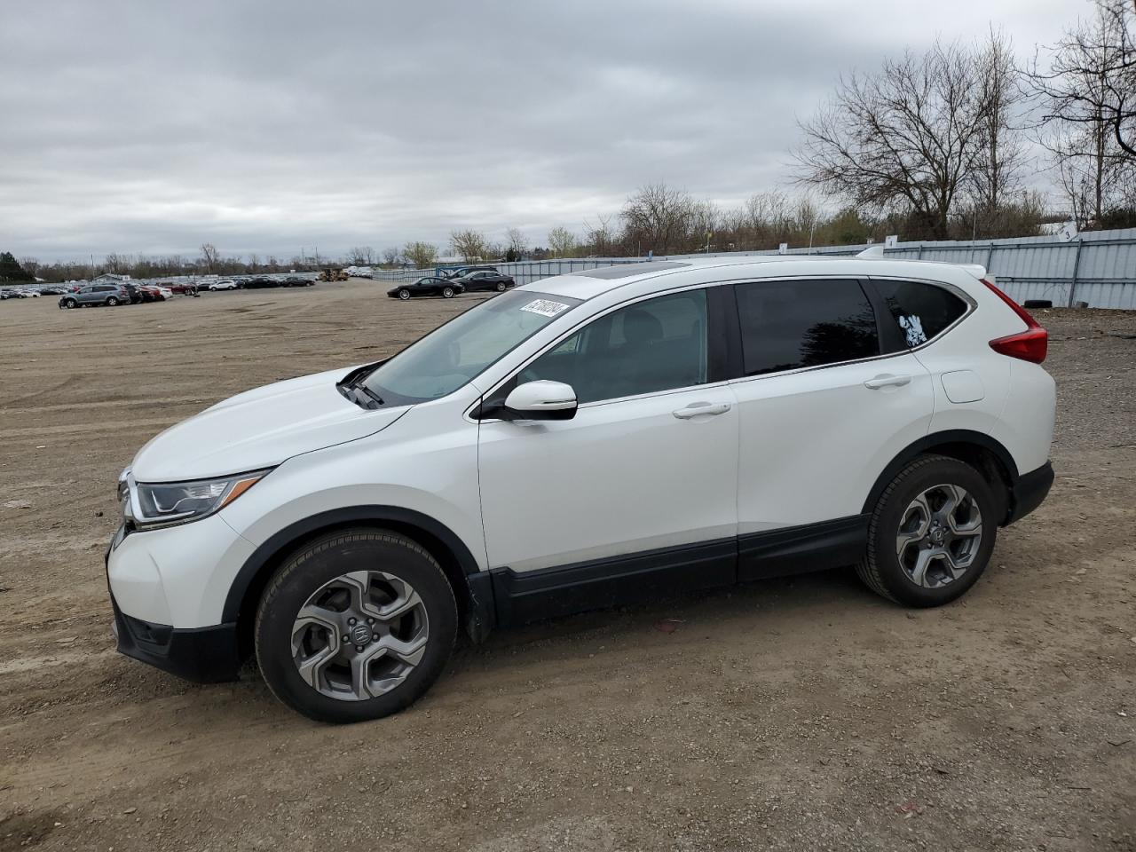 honda cr-v 2019 2hkrw2h56kh137628