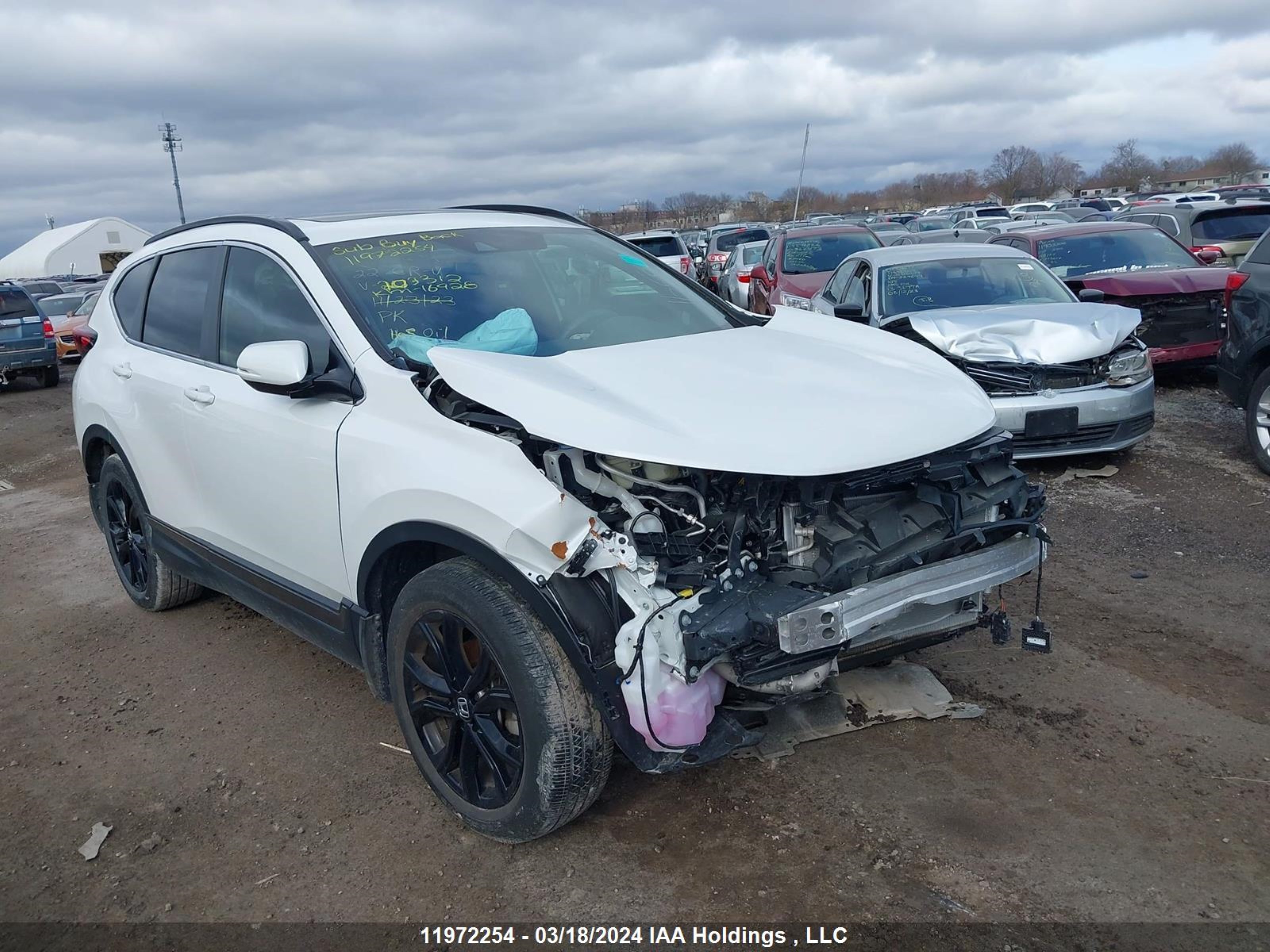 honda cr-v 2022 2hkrw2h94nh203312