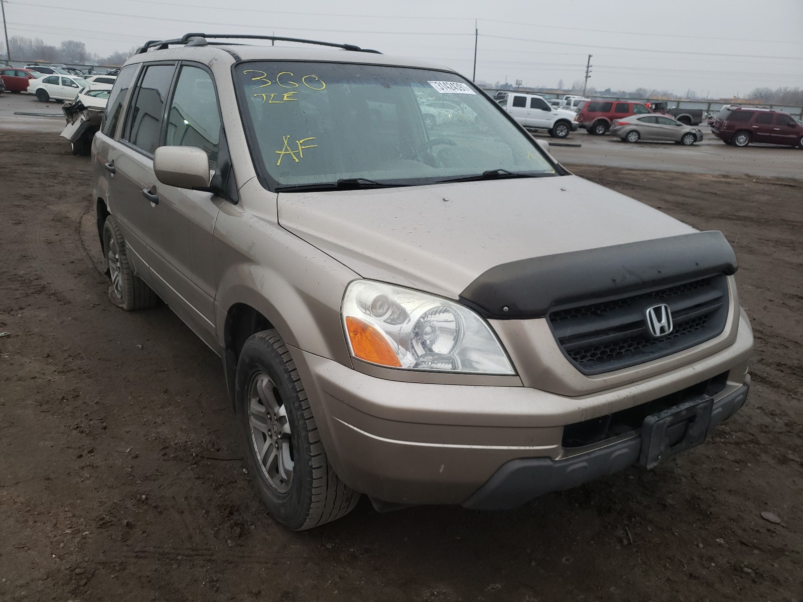 honda pilot ex 2005 2hkyf18445h558619