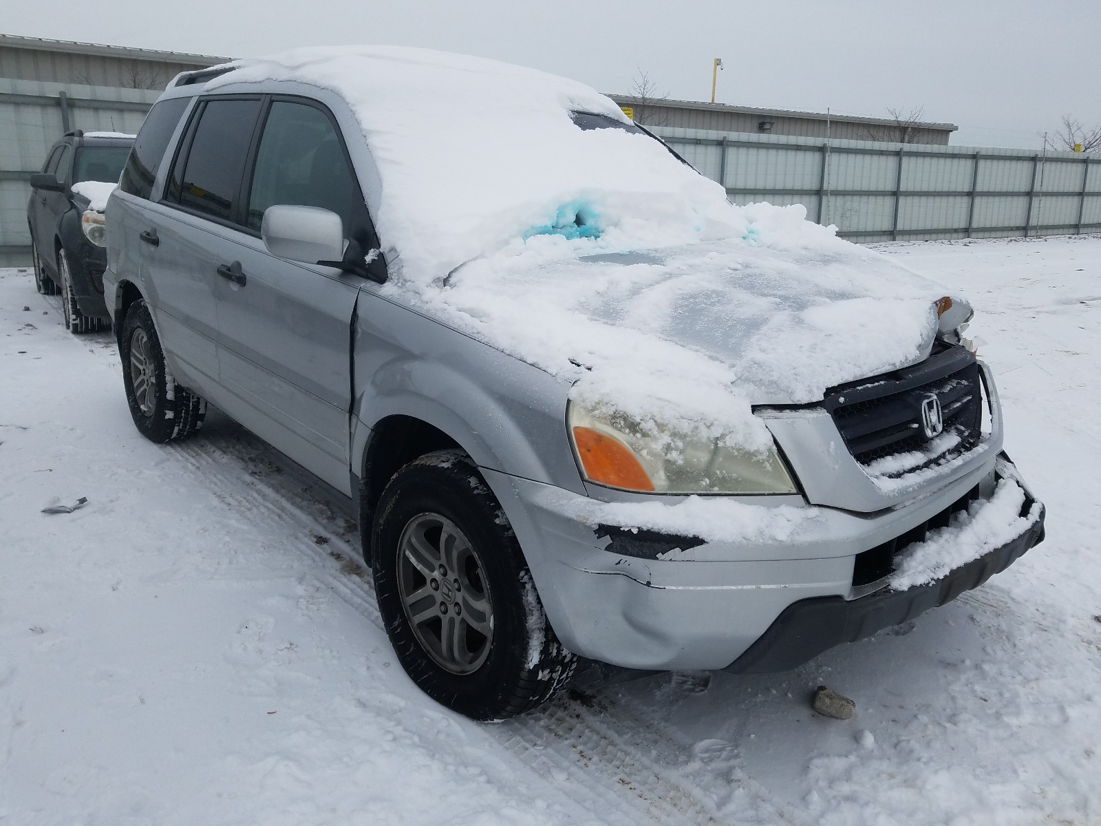 honda pilot exl 2005 2hkyf185x5h505464