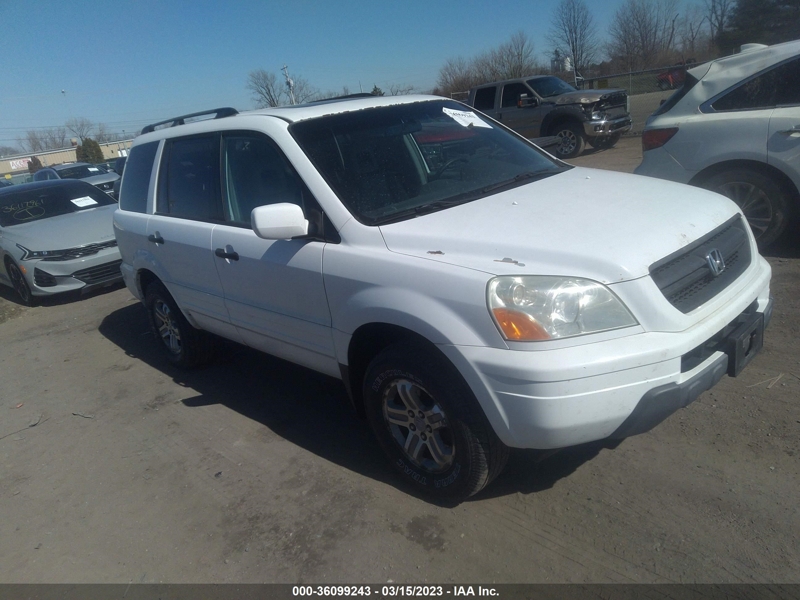 honda pilot 2005 2hkyf18775h566711