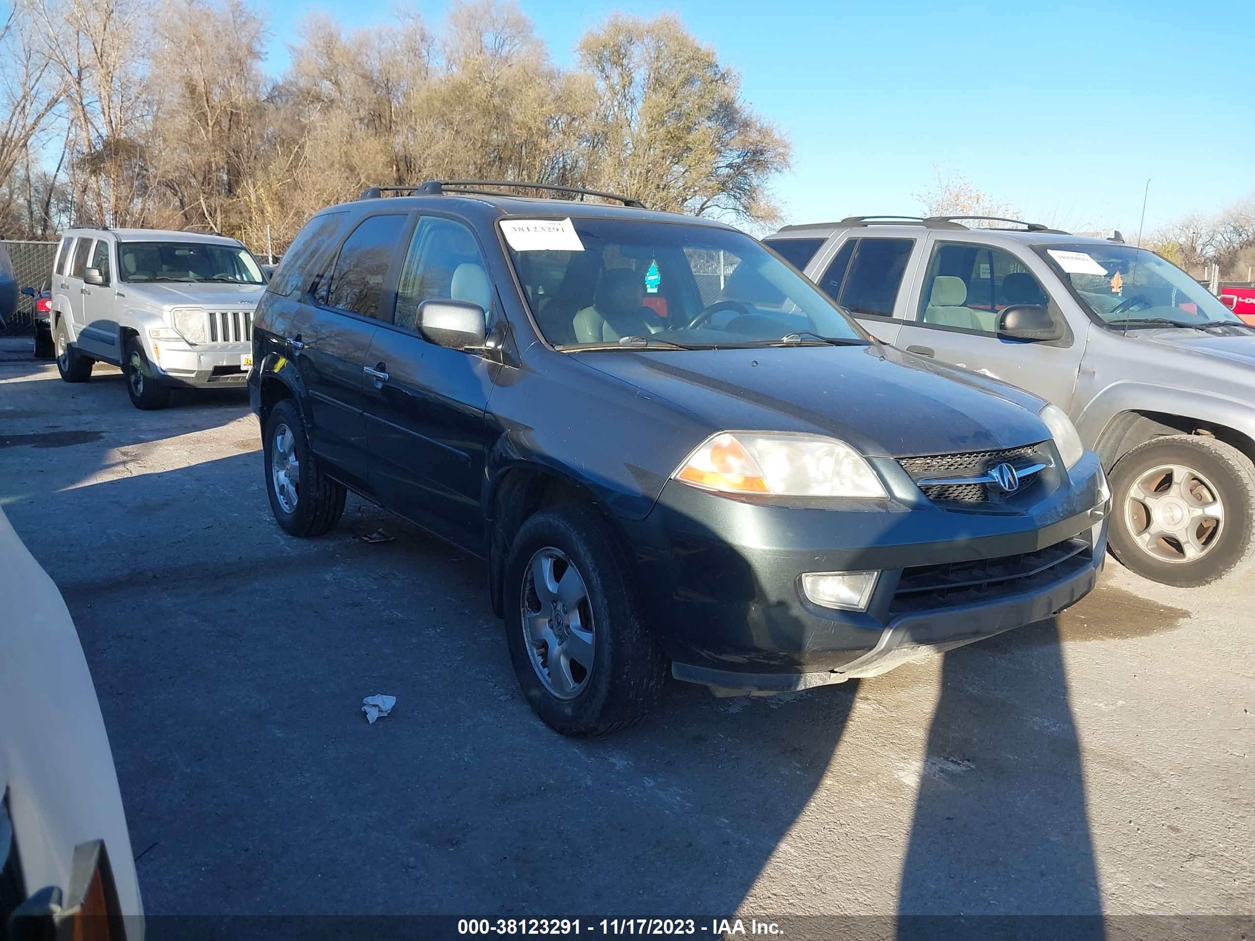 acura mdx 2003 2hnyd18213h555469