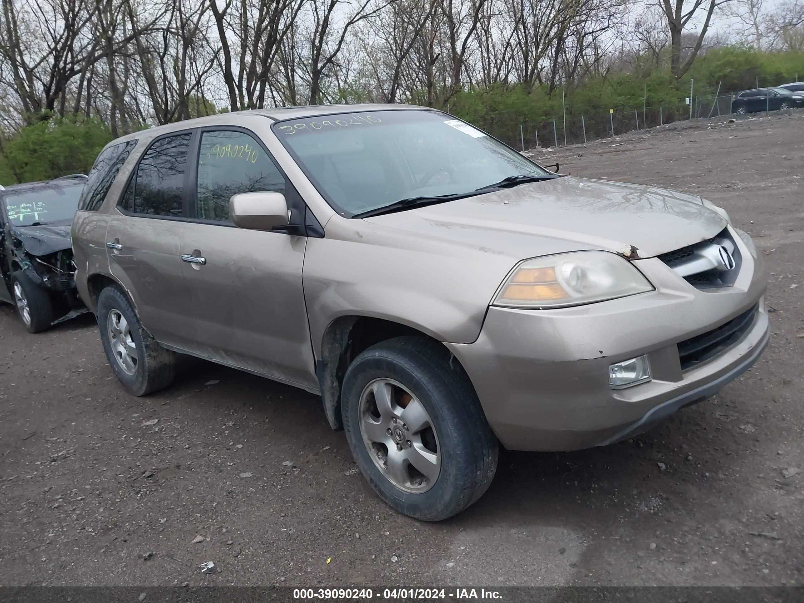 acura mdx 2006 2hnyd18246h534961