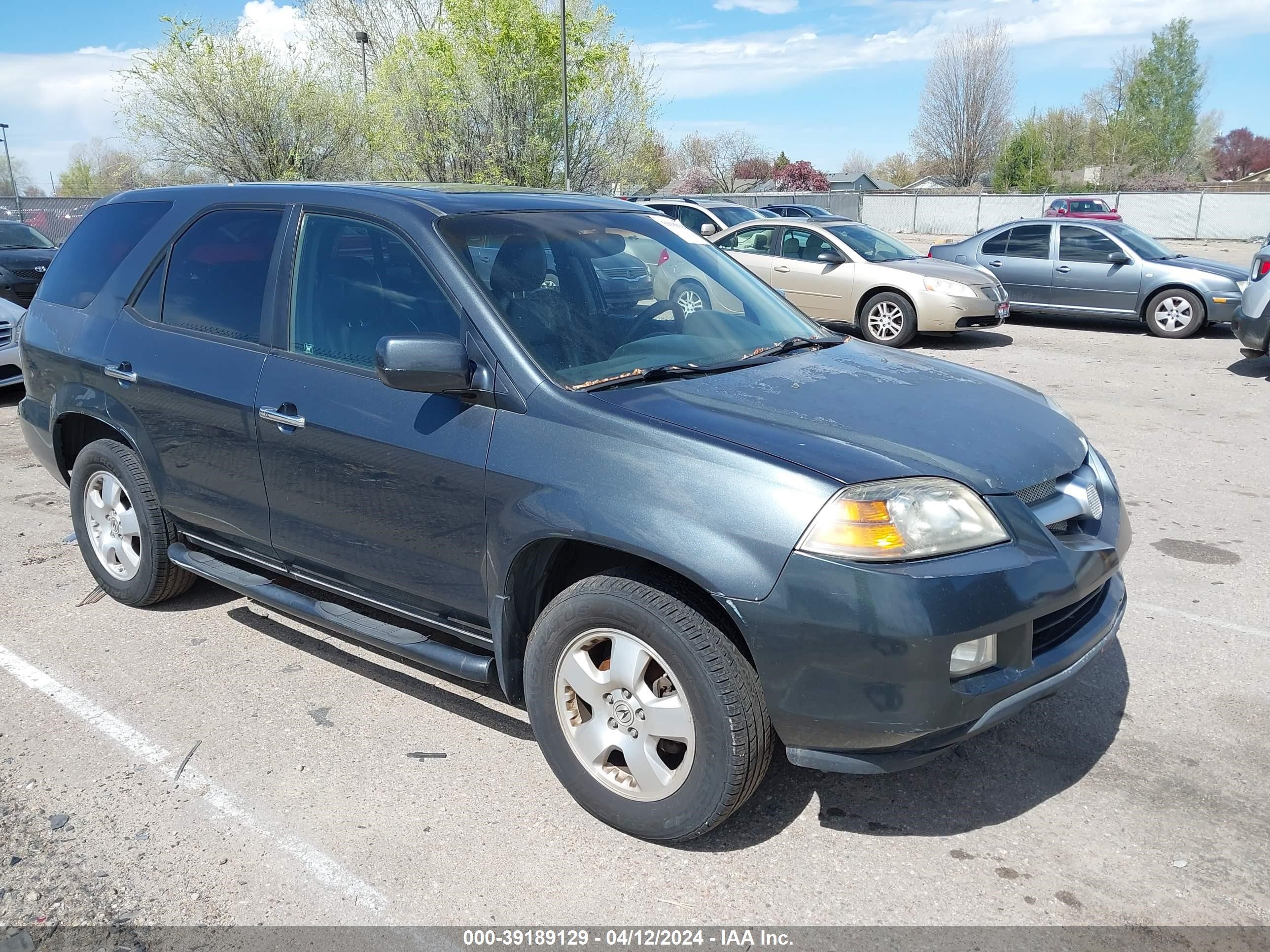 acura mdx 2006 2hnyd18256h521149