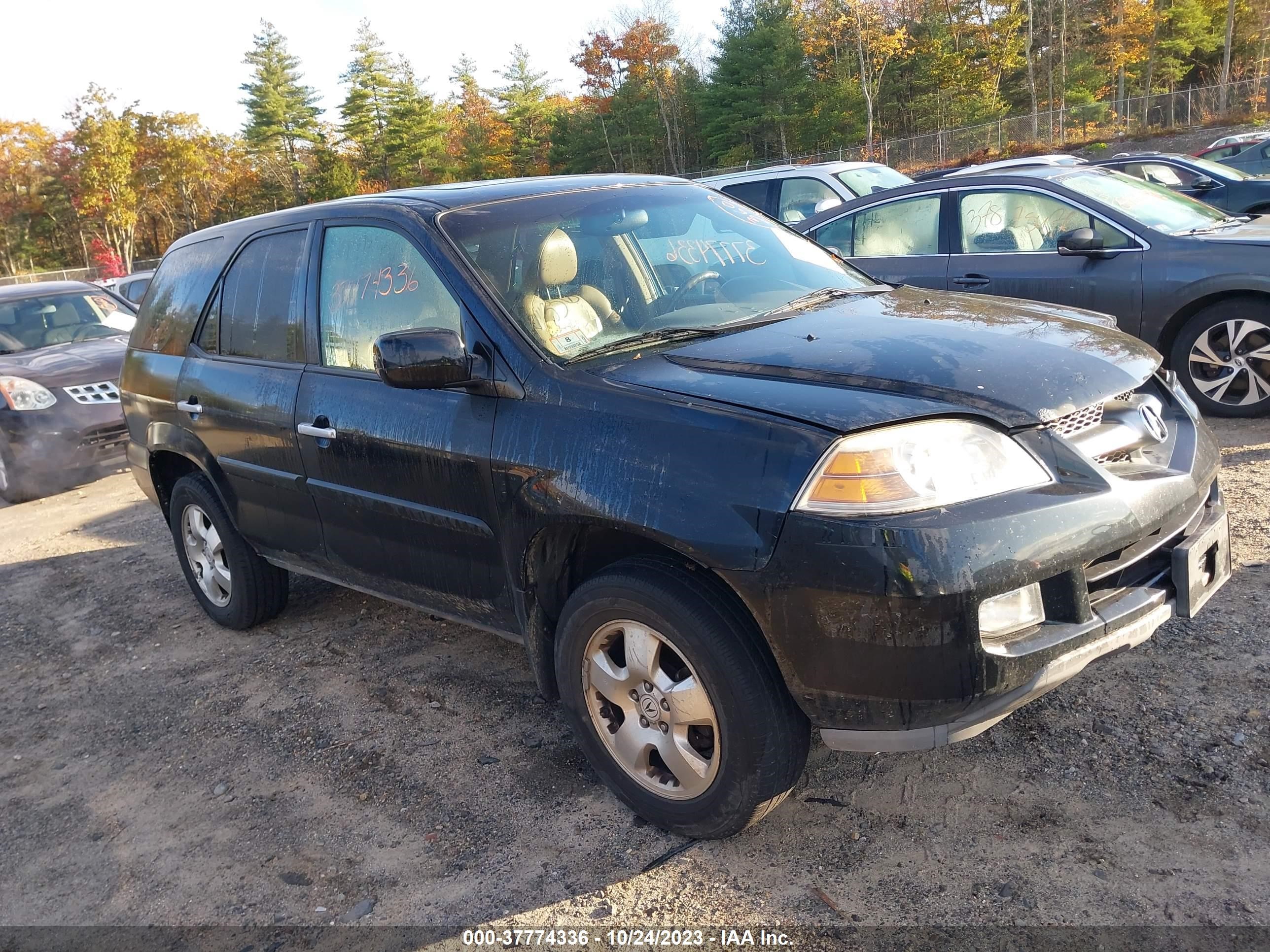 acura mdx 2006 2hnyd18286h547230