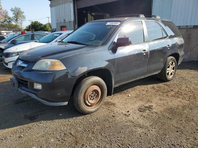 acura mdx tourin 2006 2hnyd18626h501847