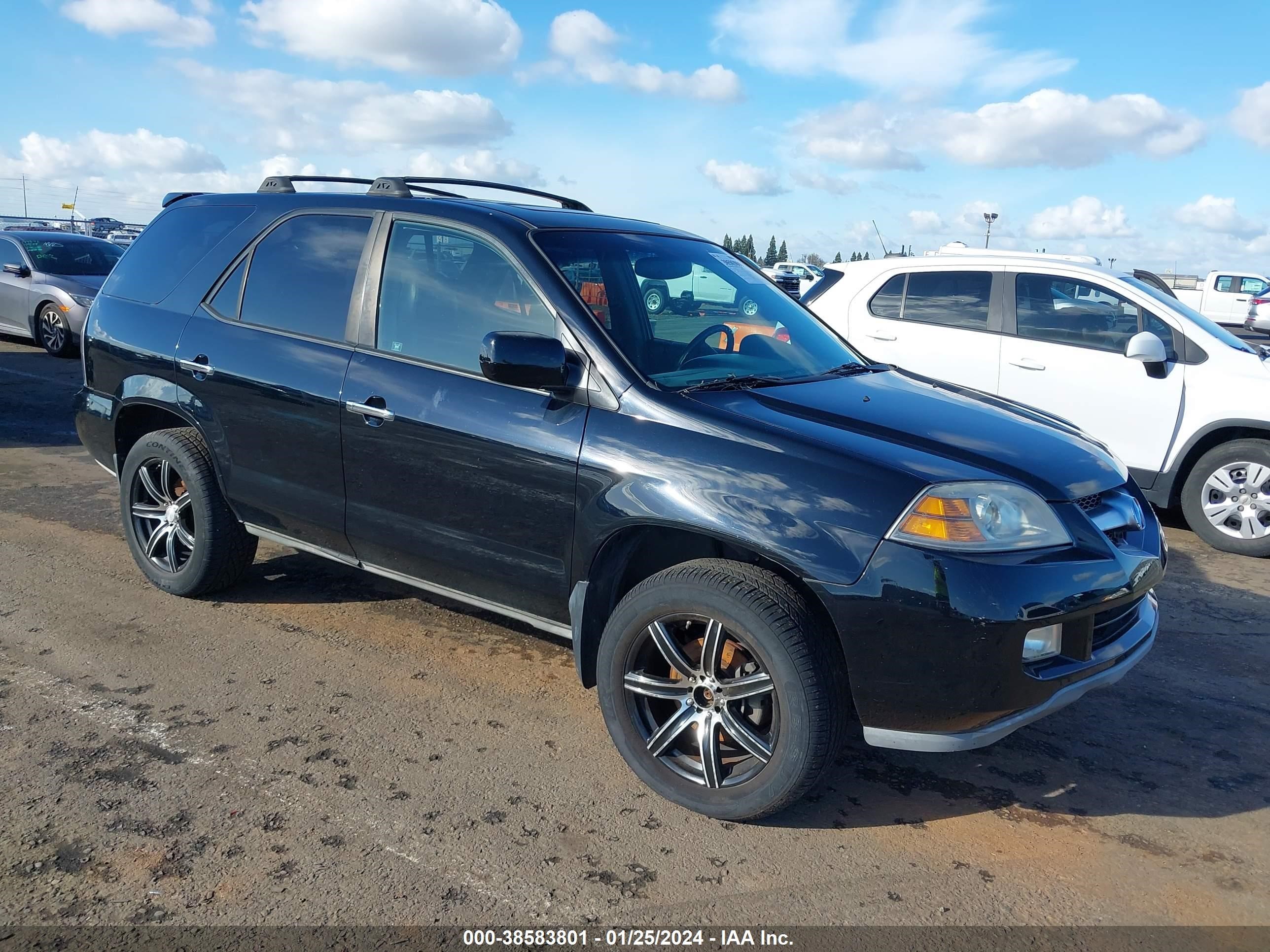 acura mdx 2006 2hnyd18656h504189