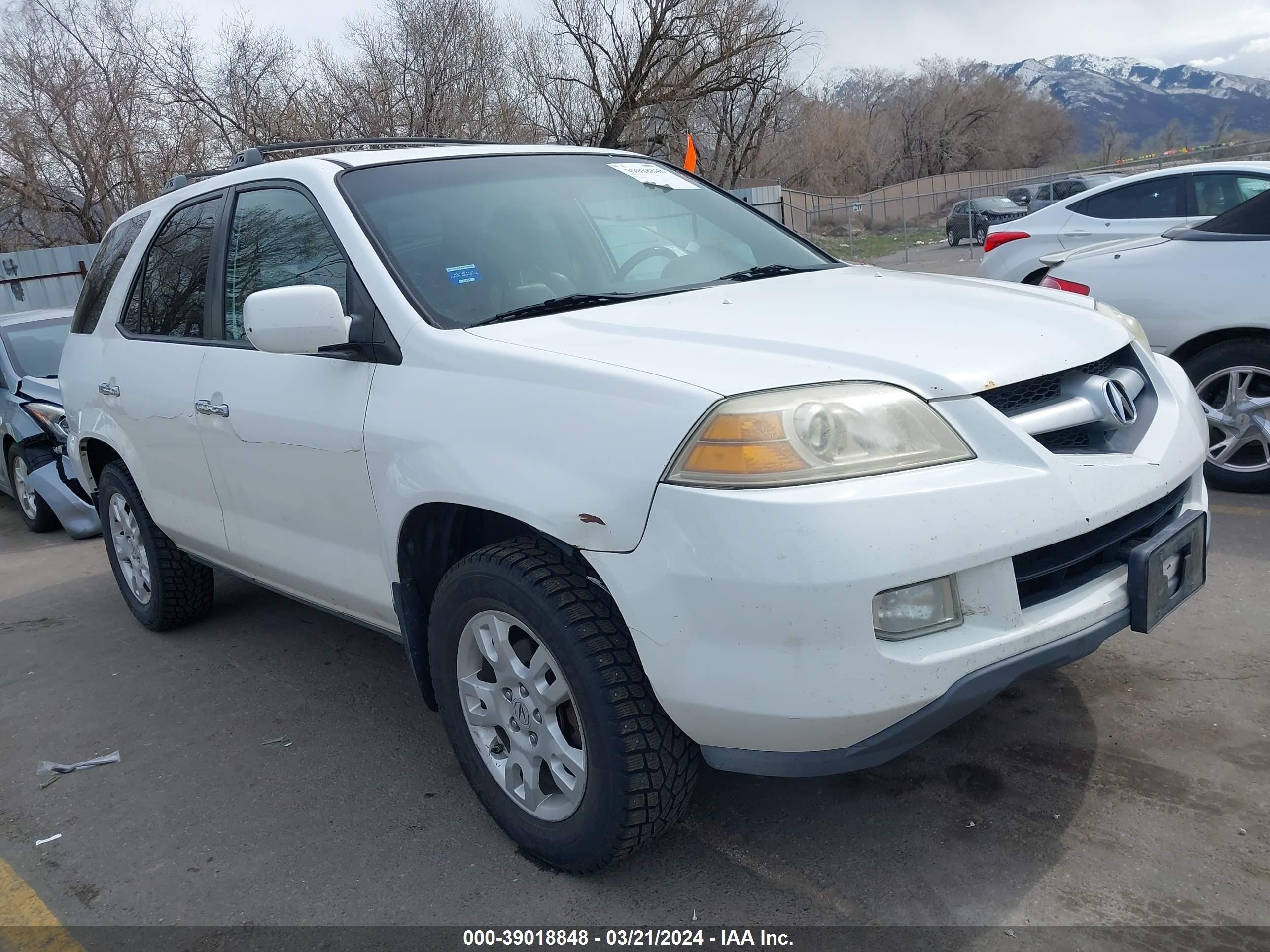 acura mdx 2006 2hnyd18876h535560