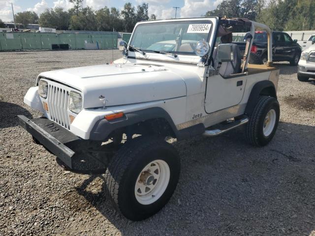 jeep wrangler  1992 2j4fy19p8nj516508