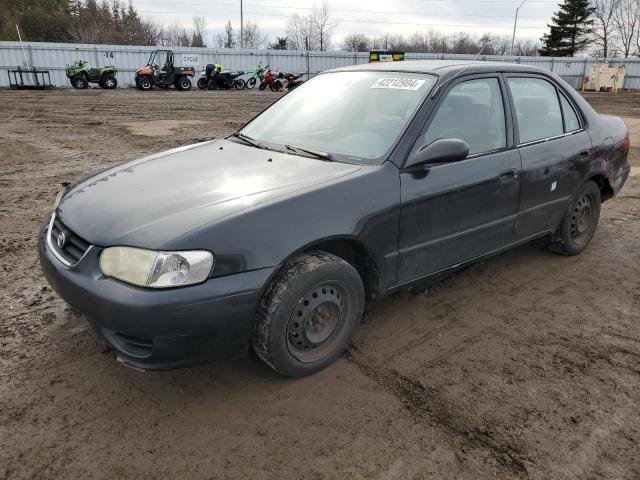 toyota corolla 2001 2t1br12ex1c843904