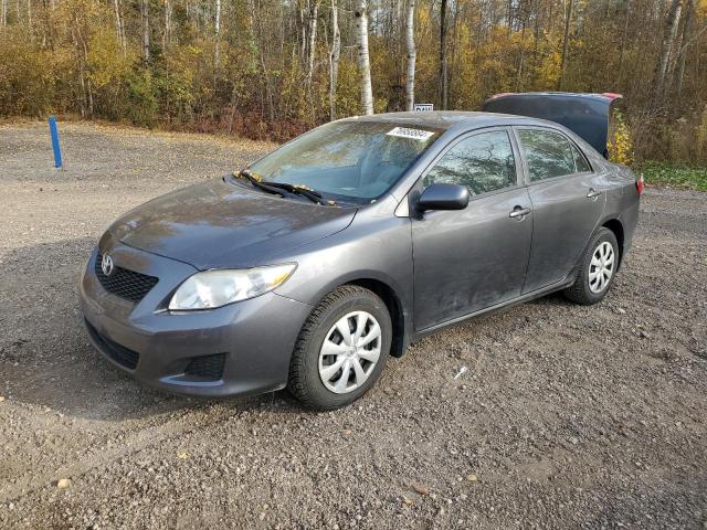 toyota corolla ba 2009 2t1bu40e29c060963