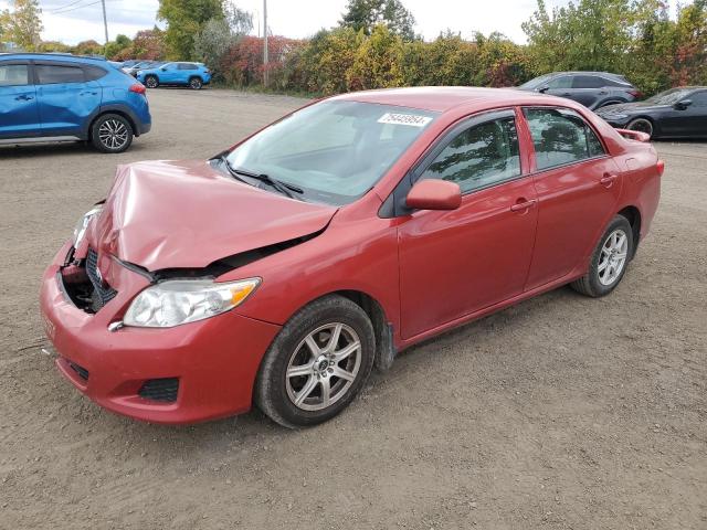 toyota corolla ba 2009 2t1bu40ex9c185984