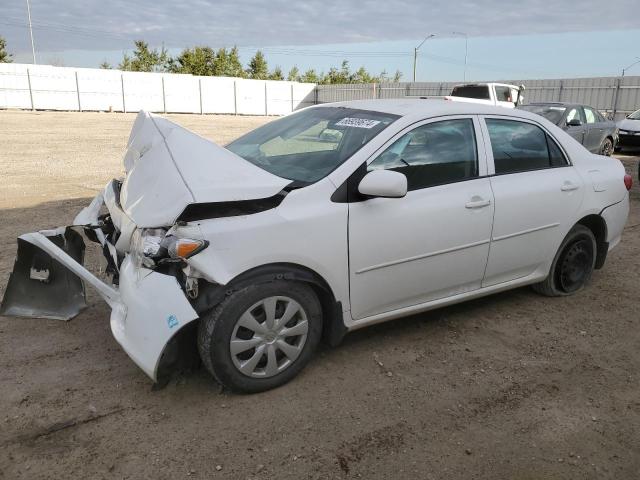 toyota corolla ba 2010 2t1bu4ee0ac242495