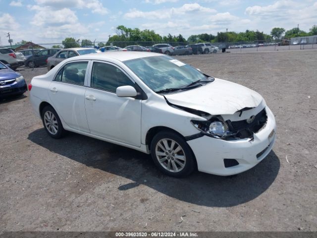 toyota corolla 2010 2t1bu4ee1ac363147