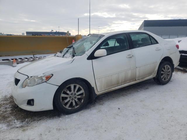 toyota corolla ba 2010 2t1bu4ee2ac192795