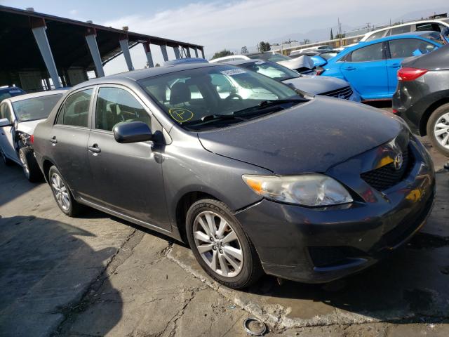 toyota corolla ba 2010 2t1bu4ee2ac203052