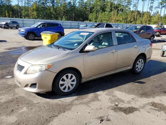 toyota corolla ba 2010 2t1bu4ee2ac319707