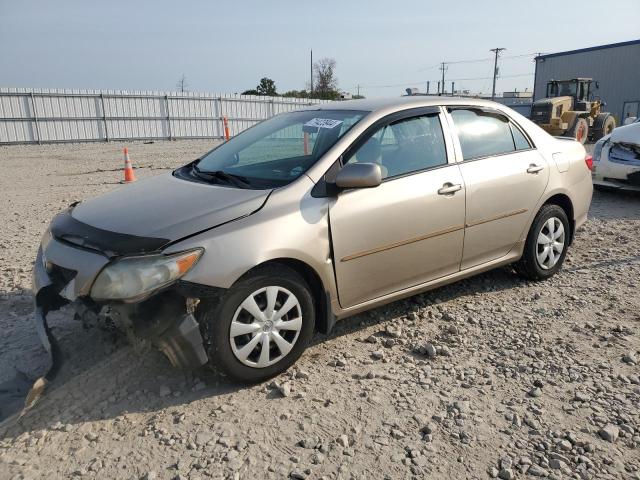 toyota corolla ba 2010 2t1bu4ee3ac330229