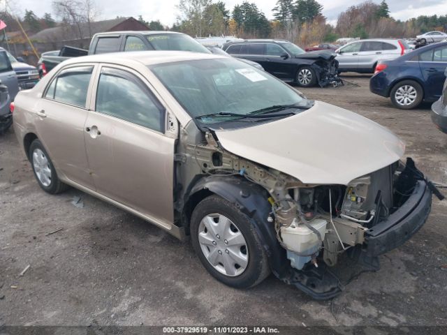 toyota corolla 2010 2t1bu4ee4ac340428