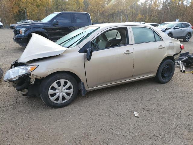 toyota corolla ba 2010 2t1bu4ee6ac259768