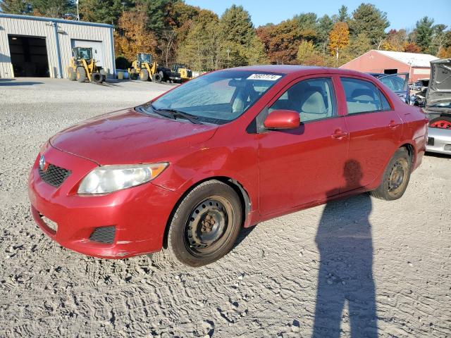 toyota corolla ba 2010 2t1bu4ee7ac305611