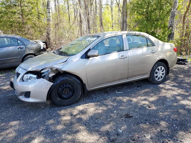 toyota corolla 2010 2t1bu4ee8ac410089