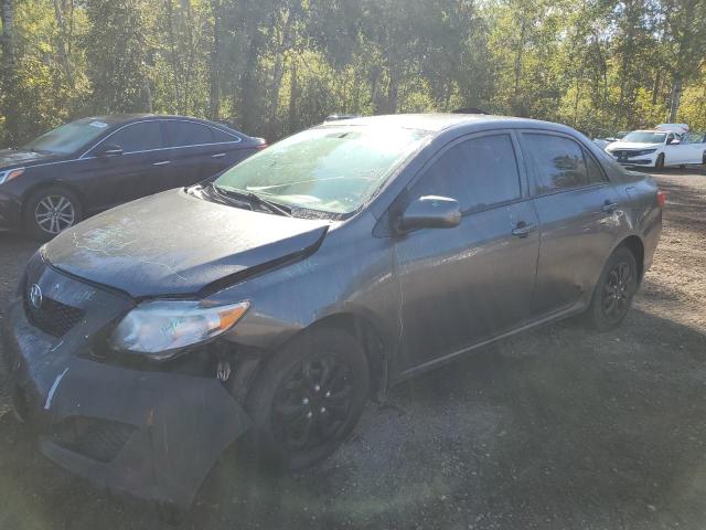 toyota corolla ba 2010 2t1bu4ee9ac337850