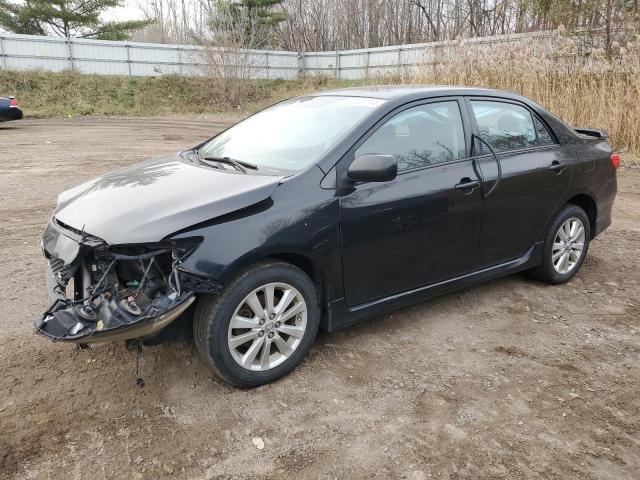 toyota corolla ba 2010 2t1bu4ee9ac461651